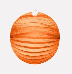 Bollampion Oranje (25cm)