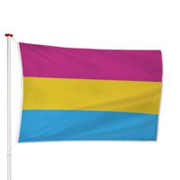 Panseksuele vlag bestellen?