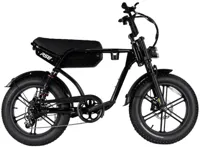 RSE Fatbike 20 inch 7v