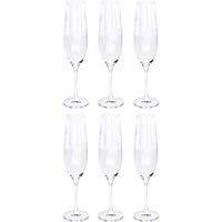 10x Champagneglazen/flutes 26 cl/260 ml van kristalglas