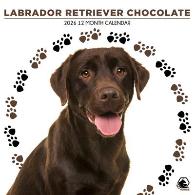 Labrador Retriever Bruin Kalender 2026