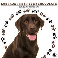 Labrador Retriever Bruin Kalender 2026