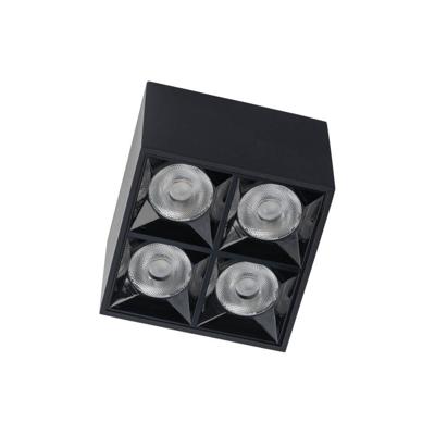 Lyora Zwarte opbouwspotMidi Led 2x2 leds - 4000K - 10057