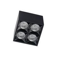 Lyora Zwarte opbouwspotMidi Led 2x2 leds - 4000K - 10057