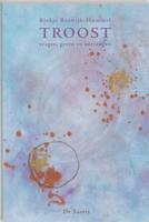 Troost (Paperback)