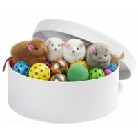 Ronde witte hobby knutsel doos - dozen van karton - 14.5 x 5.5 cm - Hoedendoos - cadeauverpakking