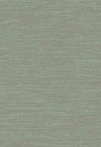 Scandinavisch Grijs Groen Vloerkleed Chilo, 160x230