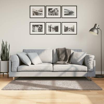 VidaXL Vloerkleed pamplona shaggy hoogpolig modern 80x150 cm beige