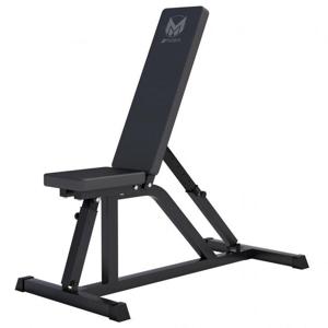 Gyronetics multifunctionele verstelbare Fitnessbank