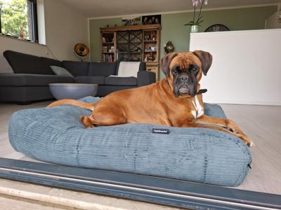 Dog's Companion® Hondenbed oud groen double ribcord medium