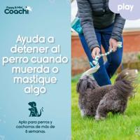 Hondentuigje Coachi