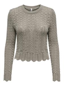 Only Onlsaga Life Ls O-neck Cc Knt Trui Fungi