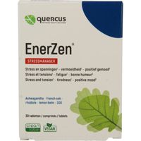 Enerzen - thumbnail