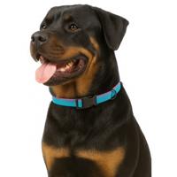 Jack and Vanilla Hondenhalsband - Nylon - Kliksluiting - Blauw - 65 cm