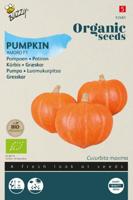 Seeds pompoen amoro F1 6 zaden - Buzzy
