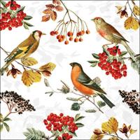 Ambiente Servetten 33cm Autumn birds