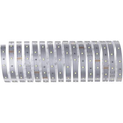 Paulmann MaxLED Stripe Daylight 79859 LED-strip Met connector (male) 5 m Daglichtwit