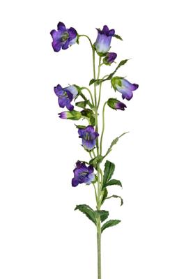 Campanula l87cm paars kunstbloem Louis Maes - Louis maes