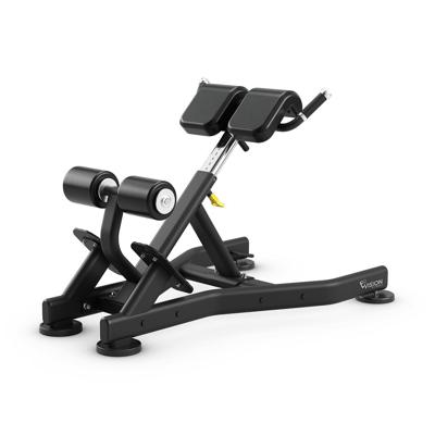 Vision Fitness back extension bench