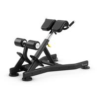 Vision Fitness back extension bench
