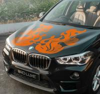 Vlammen voor kap auto sticker