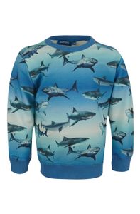 Someone Jongens sweater - Wally-SB-16-C - Blauw