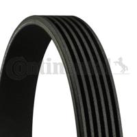 Poly V-riem CONTINENTAL CTAM, u.a. fÃ¼r BMW, Lancia, Alfa Romeo, Opel, Vauxhall, Jaguar, Jeep, Land Rover, Ssangyong