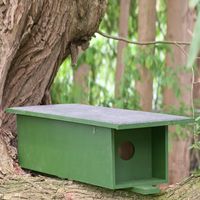 Nestkast Steenuil - thumbnail