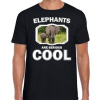 Dieren olifant t-shirt zwart heren - elephants are cool shirt - olifant met kalf - thumbnail