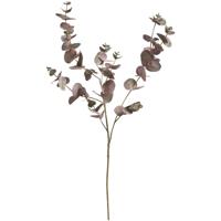 Leen Bakker - Kunstbloem Eucalyptus Spray - Bordeaux - 97 Cm - Polyethyleen - Rood