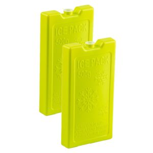 2x stuks 500 grams koelelementen 20 x 10.5 cm groen