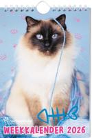 Rachael Hale Katten Weekkalender 2026