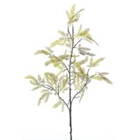 Mimosa spray groen 119 cm kunsttak Buitengewoon de Boet - Buitengewoon de boet