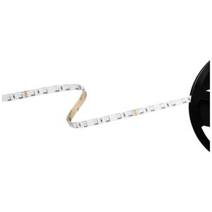 Barthelme Basic RGB 51541331 LED-strip Met open kabeleinde 24 V 5 m RGB 1 stuk(s)