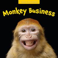 Monkey Business Kalender 2026