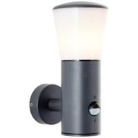 Brilliant Strakke buitenlampCliffi met sensor - 96476/63
