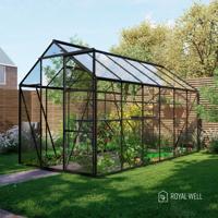 Royal Well Kate 4 tuinkas met veiligheidsglas en fundering - zwart