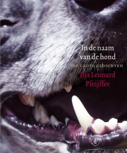 In de naam van de hond - Ilja Leonard Pfeijffer - ebook