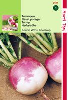 Rapen Ronde Witte Roodkop Nancy - Hortitops