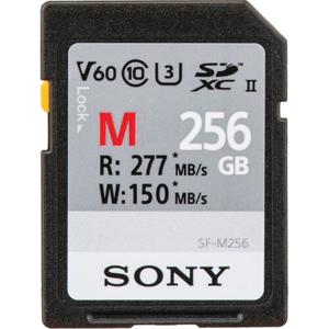 Sony SF-M256 256 GB SD UHS-II Klasse 10