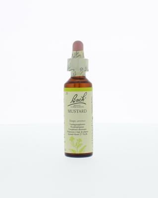 Mustard/herik 20 Milliliter