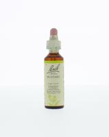 Mustard/herik 20 Milliliter