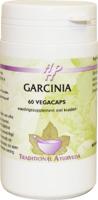 Holisan Garcinia 60 Vegetarische capsules
