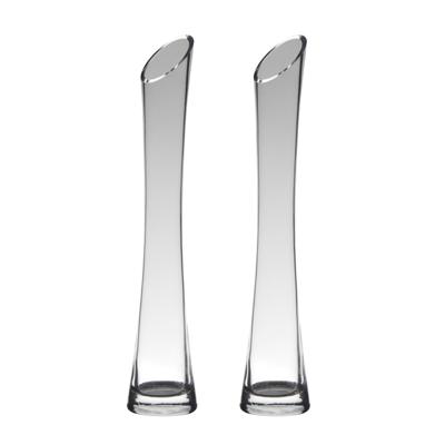 Hakbijl glass bloemenvaas - Set van 2x stuks - transparant - D7 x H35 cm - glas