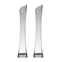 Hakbijl glass bloemenvaas - Set van 2x stuks - transparant - D7 x H35 cm - glas