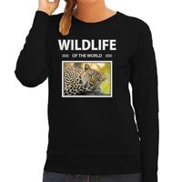 Luipaard sweater / trui met dieren foto wildlife of the world zwart voor dames - thumbnail