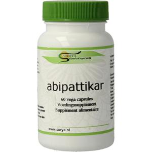 Surya Abipattikar surya