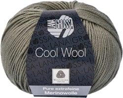 Lana Grossa Cool Wool 2079 Rietgroen