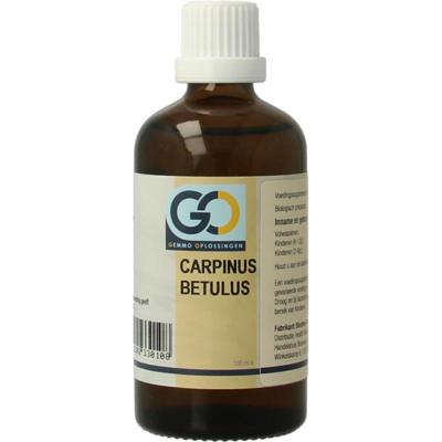 GO GO carpinus betulus bio