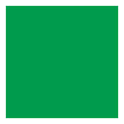 Creativ Company Gekleurd karton gras groen 270gr, 100 vellen